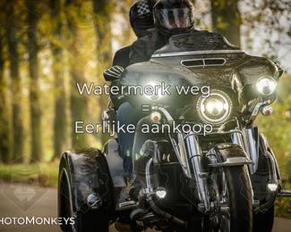 Herfstrit Moerzeke photo