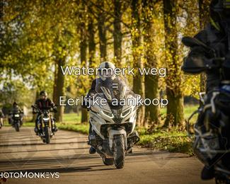 Herfstrit Moerzeke photo