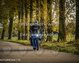 Herfstrit Moerzeke photo