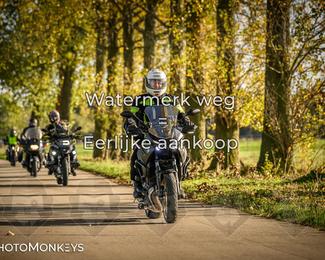 Herfstrit Moerzeke photo