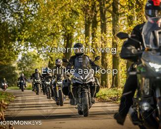 Herfstrit Moerzeke photo