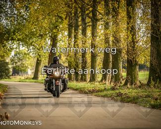 Herfstrit Moerzeke photo