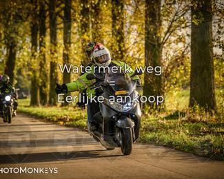 Herfstrit Moerzeke photo