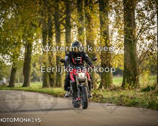 Herfstrit Moerzeke photo