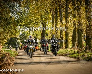 Herfstrit Moerzeke photo