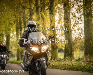 Herfstrit Moerzeke photo