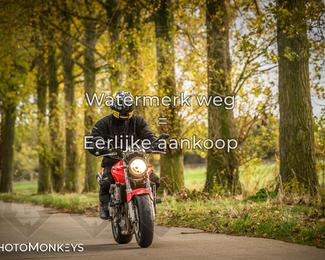 Herfstrit Moerzeke photo