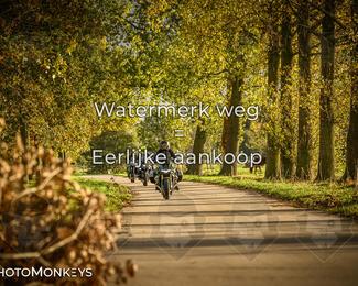 Herfstrit Moerzeke photo