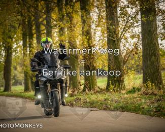 Herfstrit Moerzeke photo