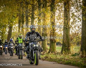 Herfstrit Moerzeke photo