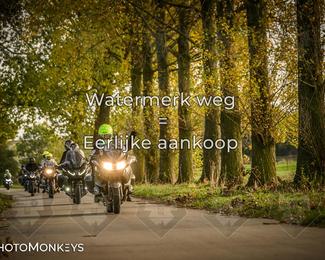 Herfstrit Moerzeke photo