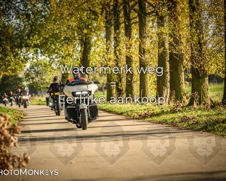 Herfstrit Moerzeke photo