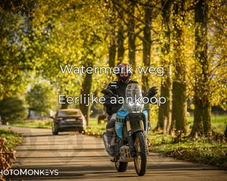 Herfstrit Moerzeke photo