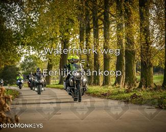 Herfstrit Moerzeke photo