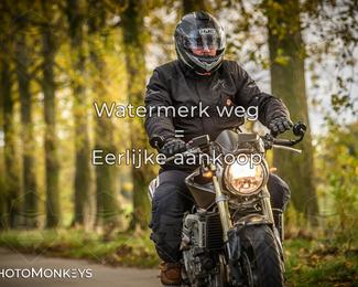 Herfstrit Moerzeke photo