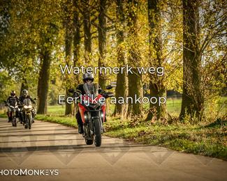 Herfstrit Moerzeke photo