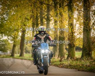 Herfstrit Moerzeke photo