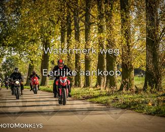 Herfstrit Moerzeke photo