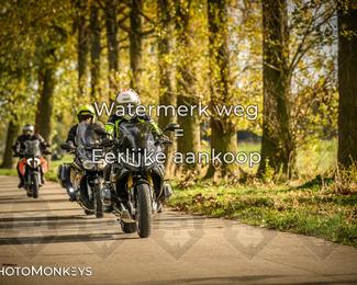 Herfstrit Moerzeke photo