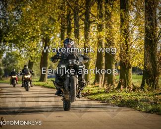 Herfstrit Moerzeke photo