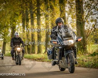 Herfstrit Moerzeke photo