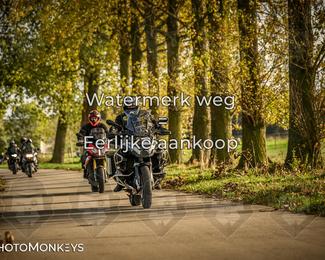 Herfstrit Moerzeke photo