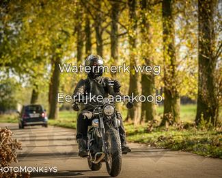 Herfstrit Moerzeke photo