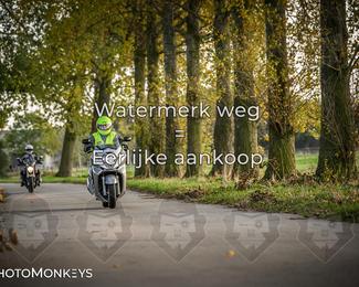 Balade d’automne Moerzeke photo