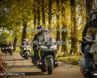 Herfstrit Moerzeke photo