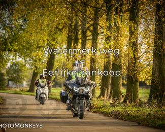 Herfstrit Moerzeke photo