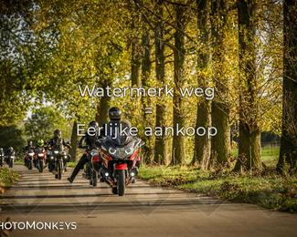 Herfstrit Moerzeke photo