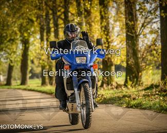 Herfstrit Moerzeke photo