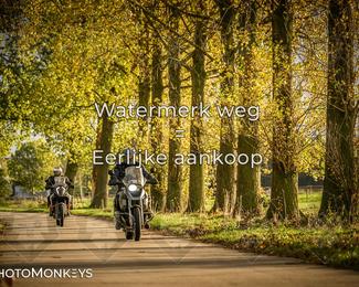 Herfstrit Moerzeke photo