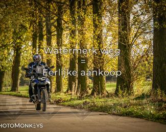 Herfstrit Moerzeke photo