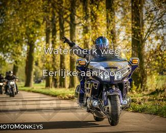 Herfstrit Moerzeke photo