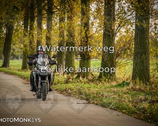 Herfstrit Moerzeke photo