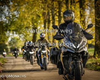 Herfstrit Moerzeke photo