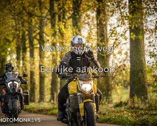 Herfstrit Moerzeke photo