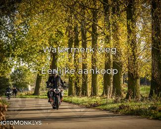 Balade d’automne Moerzeke photo