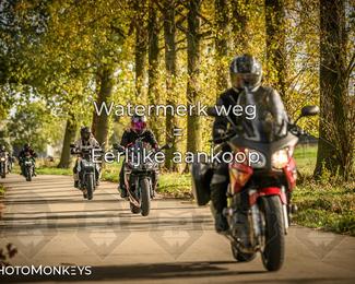 Herfstrit Moerzeke photo