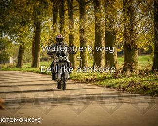 Herfstrit Moerzeke photo