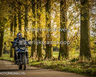 Herfstrit Moerzeke photo