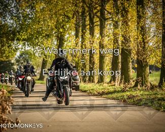 Herfstrit Moerzeke photo