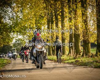 Herfstrit Moerzeke photo