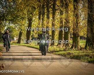 Balade d’automne Moerzeke photo