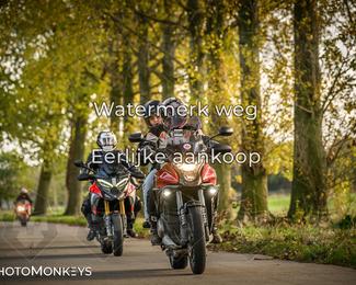 Herfstrit Moerzeke photo