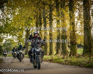 Herfstrit Moerzeke photo