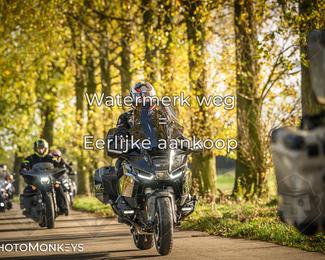 Herfstrit Moerzeke photo