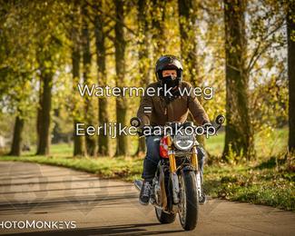 Herfstrit Moerzeke photo