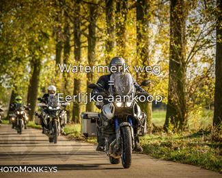 Herfstrit Moerzeke photo